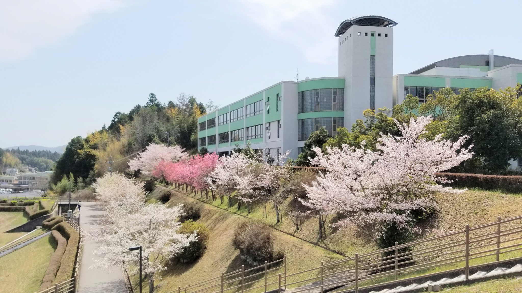 近校ブログ |【近校web】近畿大学附属広島高等学校・中学校東広島校